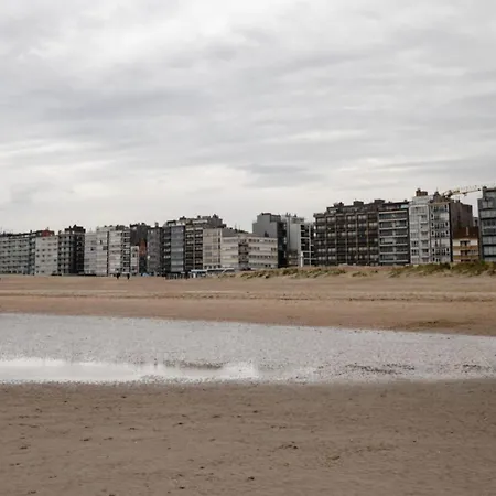 Dante 301 With Side Sea View And Location * Koksijde
