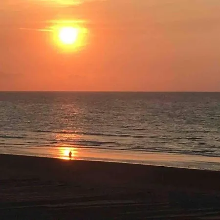 アパート In Near The Sea *